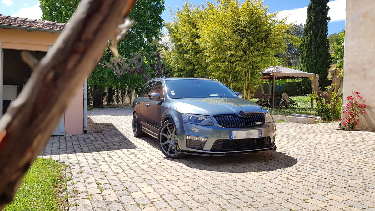 シュコダ Octavia VRS 5E (13~16)用 CEIKA カスタムビッグブレーキキット